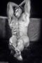 Handsome Male Torso Naked Guys Dicks Abs
